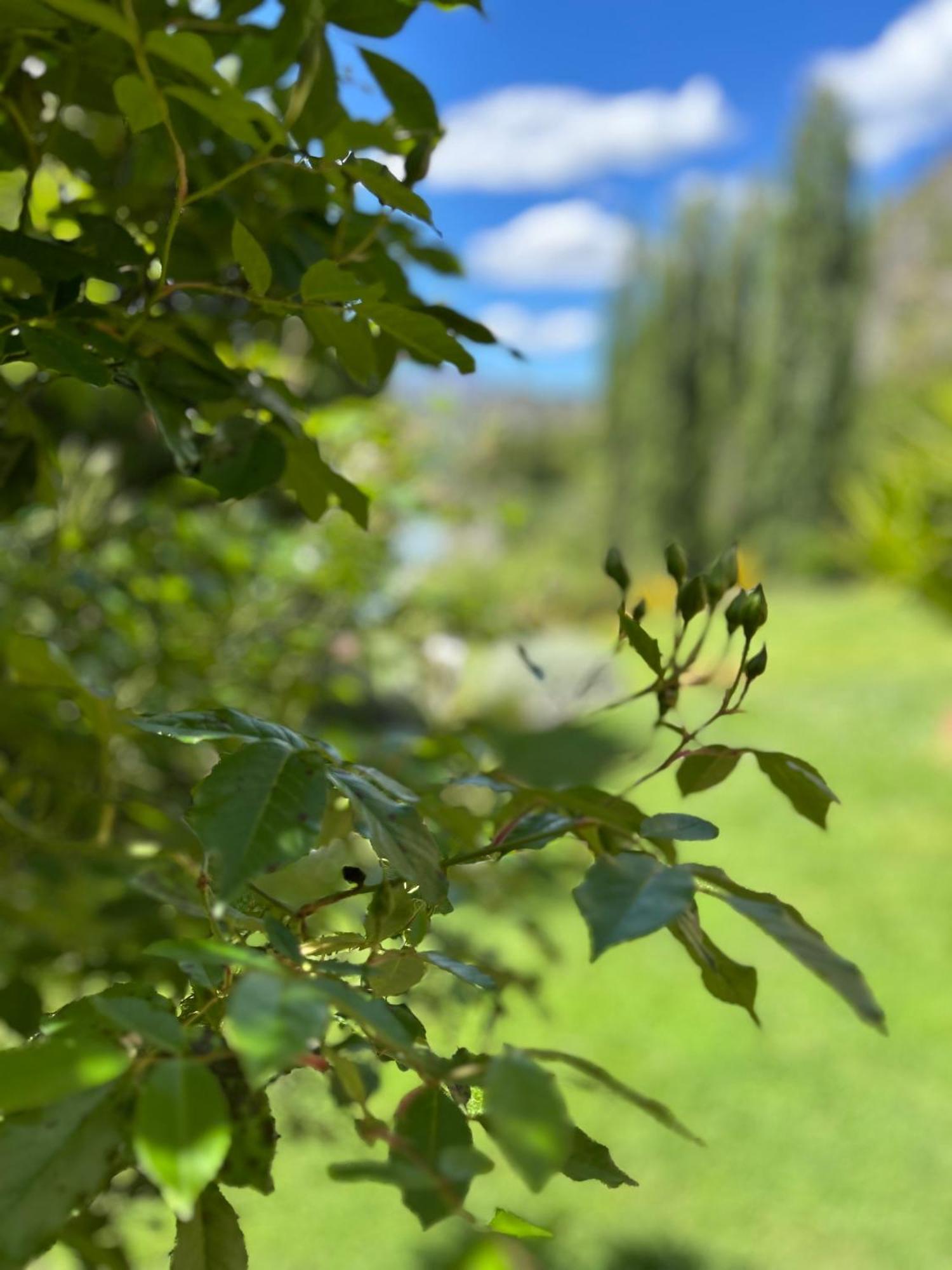 The Canyons B&B Queenstown Buitenkant foto
